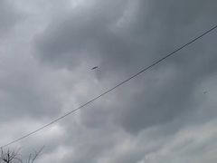 -龙头岩(Dragon Head Rock)