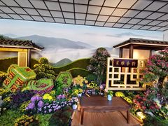 -杭州植物园