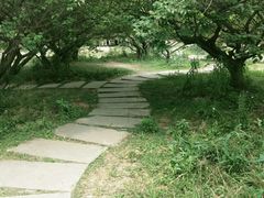 -秀丽东方