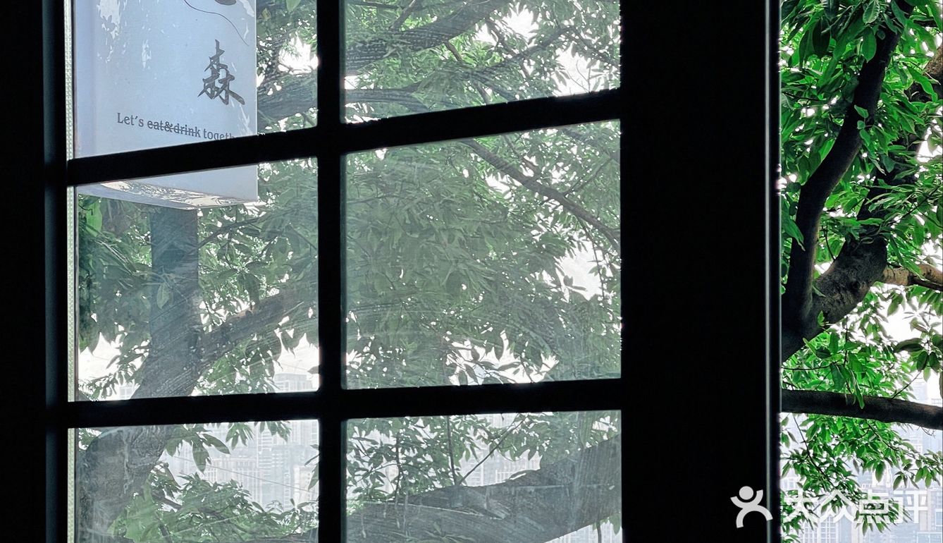 莎拉来啦｜网红戴家巷▪️来巷森撸猫呀🐱