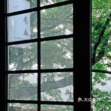 莎拉来啦｜网红戴家巷▪️来巷森撸猫呀🐱