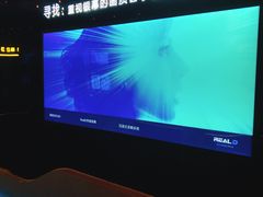 -奥斯卡升龙国际影城(RealD Cinema)