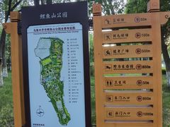 -鲤鱼山公园