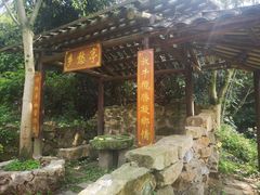 景点-南山植物园