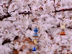 -南京外国语学校(仙林分校西区)