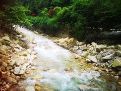 -姑婆山旅游区