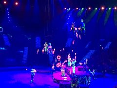 -珠海横琴长隆《卡卡虎奇遇记》