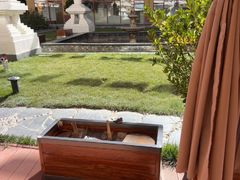 -思金拉措庄园藏餐(太阳岛店)