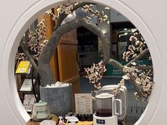 -不凡脑禅境·养生·舒压调理SPA(华发世纪城店)