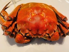大闸蟹-徐记海鲜·宴会(大唐西市|丰庆店)