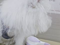 -海门爱心宠物医院