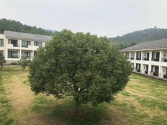 -苏州环秀晓筑养生度假村