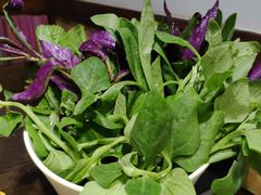 山茅野菜-老诚一锅羊蝎子(黄寺大街店)