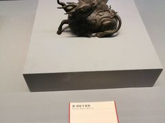 -青岛市博物馆