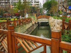 -神仙树公园