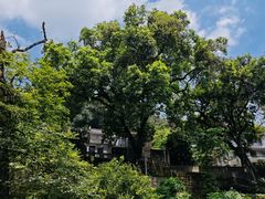 -飞霞风景名胜区