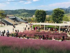 -牛岗山公园
