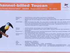 -吉隆坡雀鸟公园