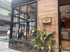 -Elephant Grounds(STARSTREET)