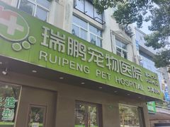 -瑞鹏宠物医院·骨外科·心肾科·肿瘤科(九亭店)