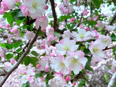 -唐山抗震纪念碑广场