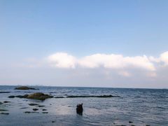 -养马岛旅游度假区
