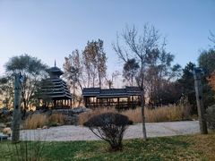 -沈阳植物园