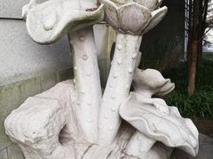 -尚贤河湿地