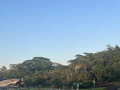 -东莞植物园