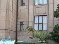 -国家自然博物馆