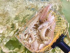 -岛中岛·海鲜大排档·万宁老字号(东澳店)