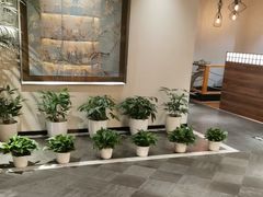 -黑松白鹿(金融街店)