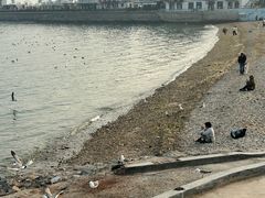 -黑石礁公园