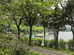 -广东花都湖国家湿地公园