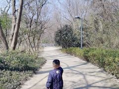 -西湖风景区-江洋畈生态公园
