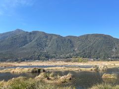 -腾冲北海湿地