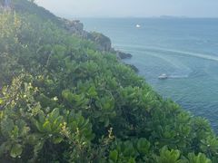 -美人鱼悬崖海景餐厅(鹿嘴山庄店)