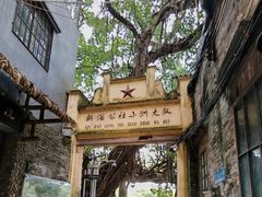 -小洲村