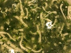 -环兴酒家(凤城三村东区延吉西路80弄店)