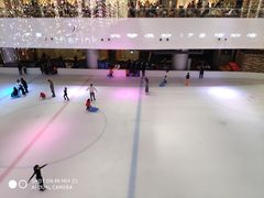 -TheRink大零溜冰场(IFS国金中心店)