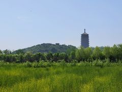 -永定河休闲森林公园