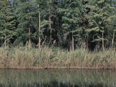 -艾溪湖湿地公园