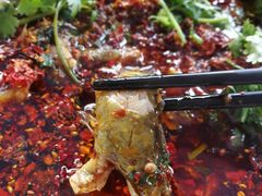 -胖大姐黄辣丁鱼庄(新津店)
