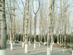-东升八家郊野公园