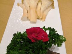 新鲜猪肚菌-湯系·煲汤手艺人(东二环泰禾广场店)