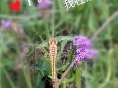 -徐家汇公园