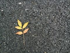 -杭州师范大学(下沙校区)