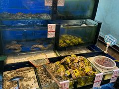 -添福来墨鱼饺子 · 海鲜东北菜(泡崖店)