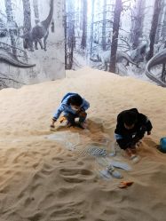 -恐龙探索乐园(磁器口店)