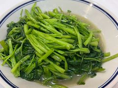 清炒空心菜-新新湘菜馆(新中街二条店)